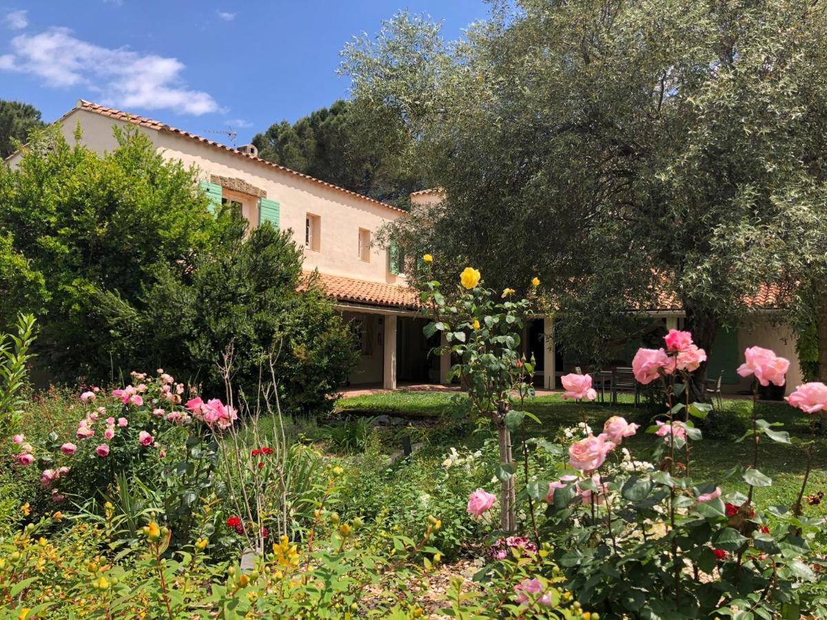 Villa Bonheur Vallespir Сере Экстерьер фото