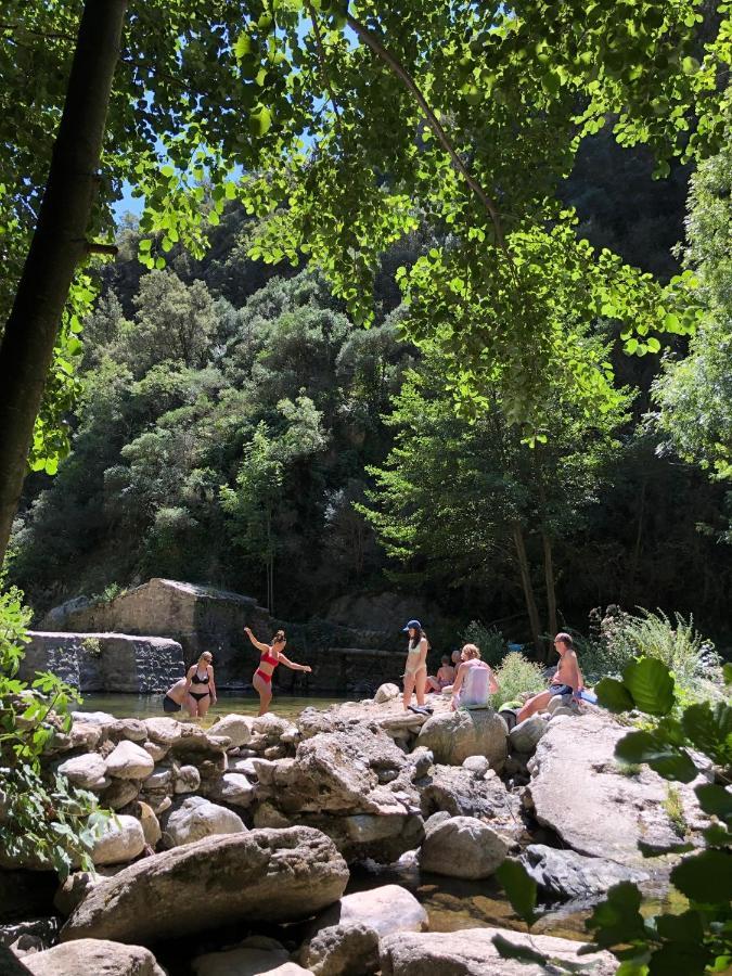 Villa Bonheur Vallespir Сере Экстерьер фото